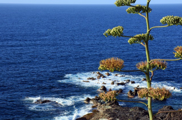 News Przez Atlantyk - co wydarzy si� w 4 oraz 5 odcinku programu reality show