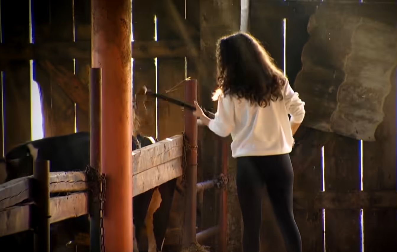 News Rolnik szuka �ony 10 edycja - co wydarzy si� w 5 odcinku?�Pora wzi�� si� do pracy w gospodarstwie