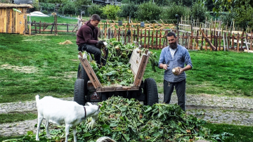 News Farma - co wydarzy si� w 23 i 24 odcinku nowego reality show od Polsatu? 