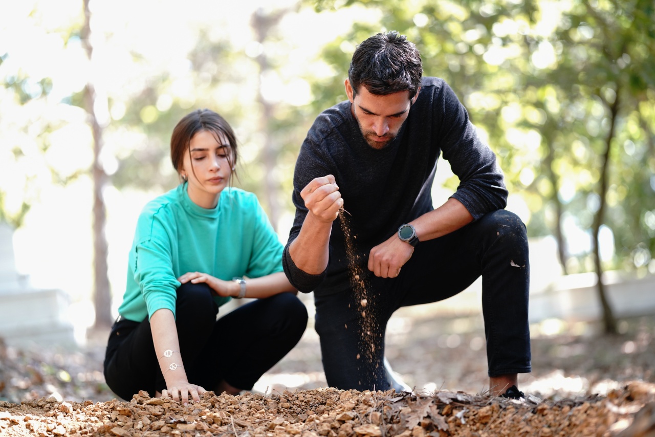 News Dziedzictwo - 374 odc. Semra jest w powa�nym niebezpiecze�stwie! Porywacze odnajduj� jej kryj�wk�. Streszczenie 374 i 375 odcinka