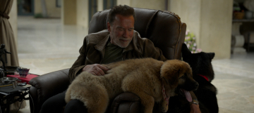 News Arnold, miniserial dokumentalny Netflix o niezwyk�ej postaci, aktorze, mistrzu kulturystyki i polityku 