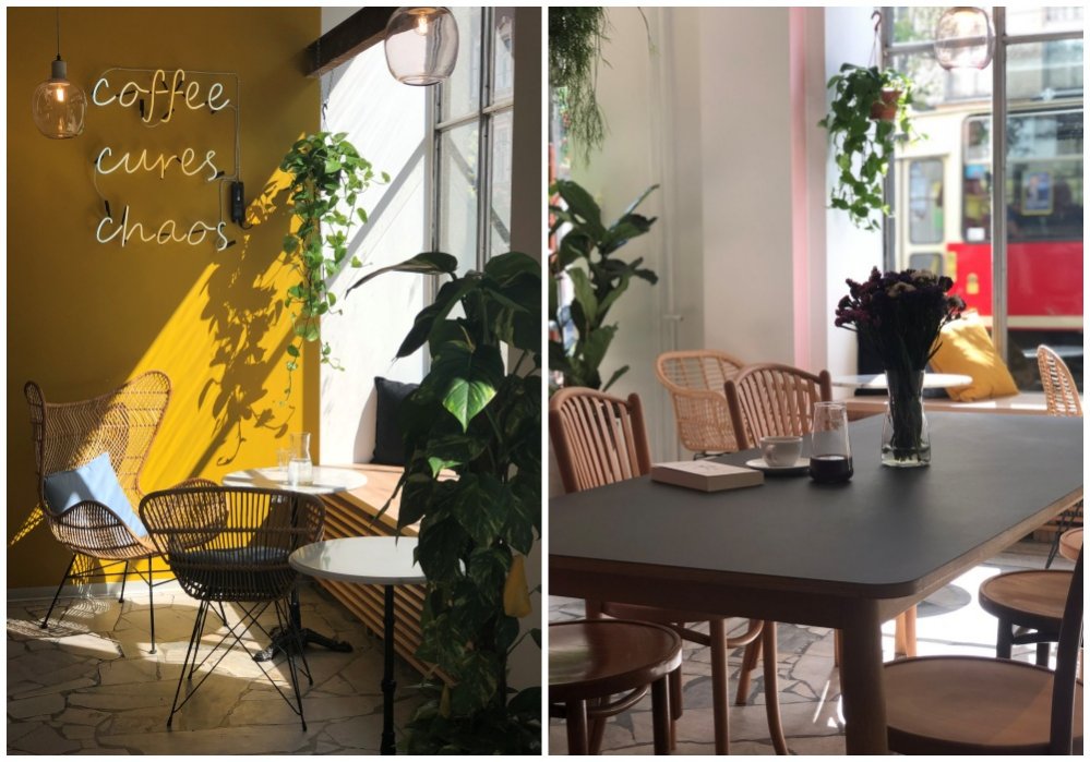 News Powsta�a artystyczna kawiarnio-ksi�garnia Black Woolf. To pyszna kawa i angielskie czasopisma