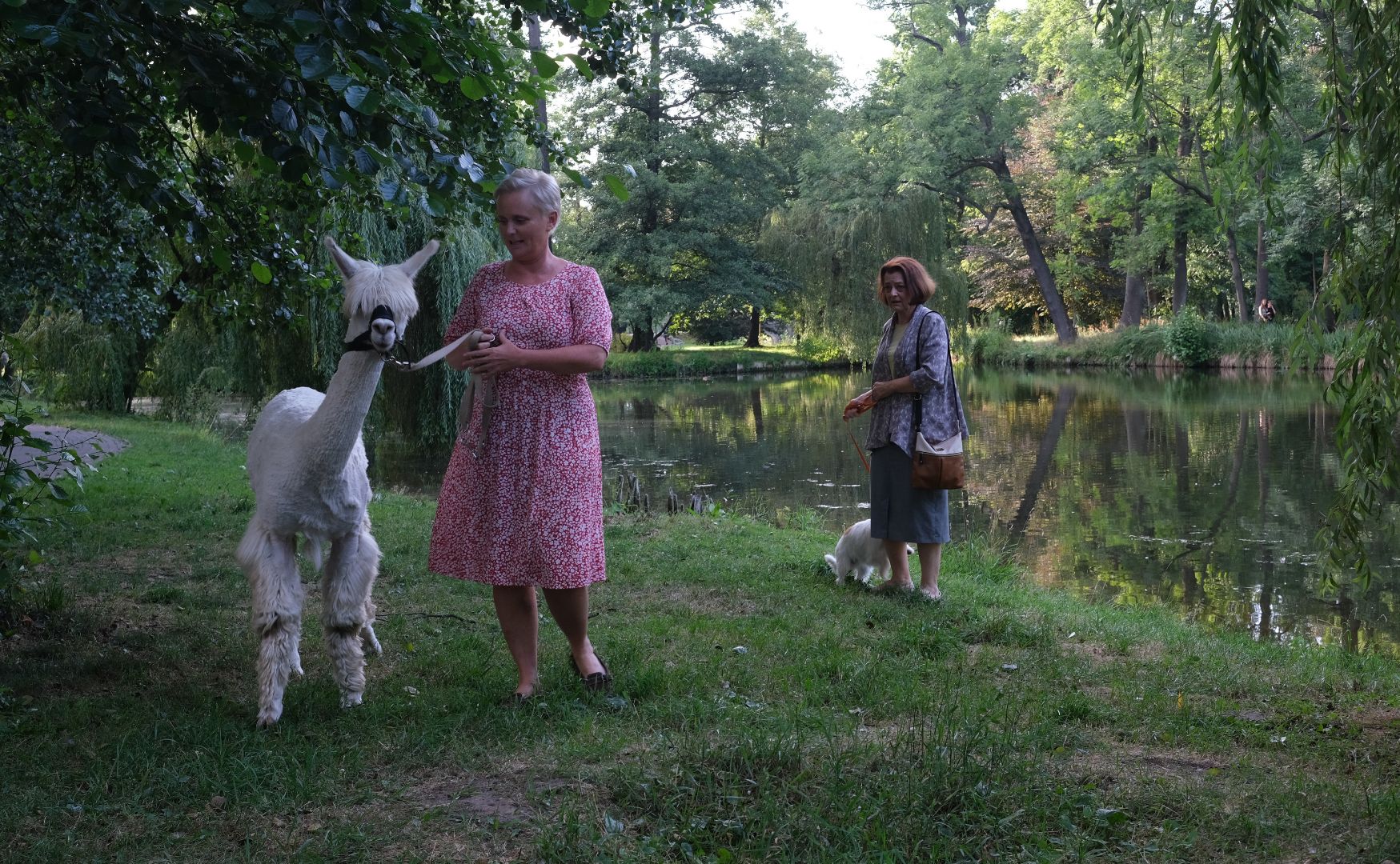 News Ojciec Mateusz 389 odc. Tajemnicza �mier� kochank�w. Streszczenie OSTATNIEGO odcinka w tym roku!