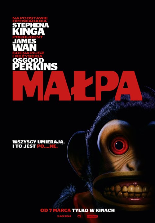 Plakat - Małpa