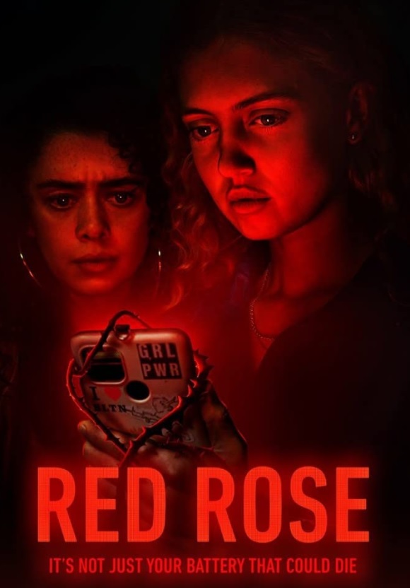 Plakat - Red Rose