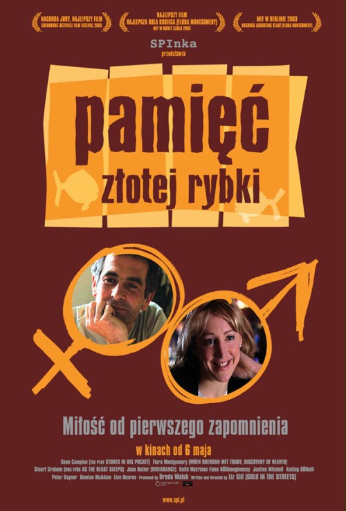 Plakat - Pami zotej rybki