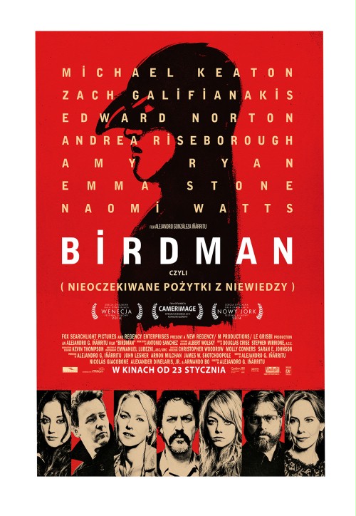Plakat - Birdman