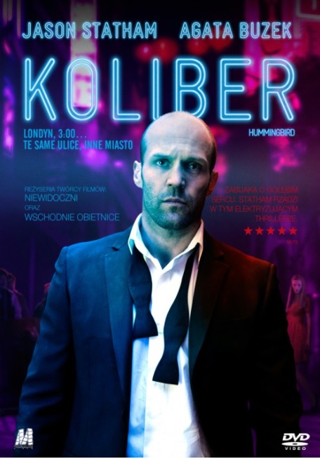 Plakat - Koliber