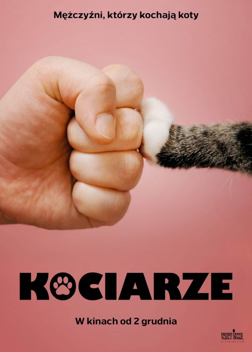 Plakat - Kociarze