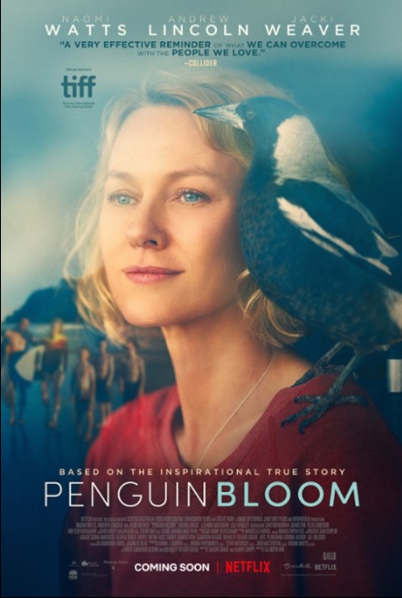 Plakat - Penguin Bloom