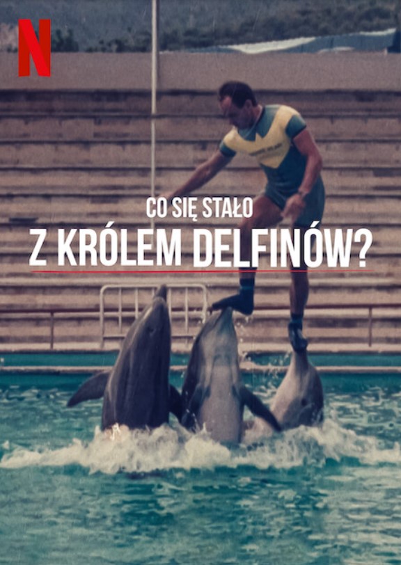 Plakat - Co si stao z Krlem Delfinw?
