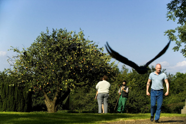 Recenzja filmu Jabka Adama, czyli postmodernistyczne kino religijne