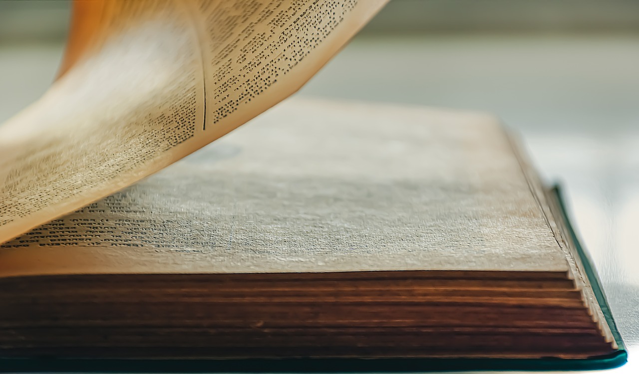 Publicystyka - Książki w ogniu walki: czy biblioteki mogą zmienić losy wojny?