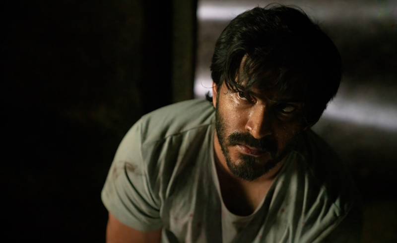 Obrazek w treści Thar - hinuski western w kryminalnej wersji zadebiutował na Netflix  [jpg]