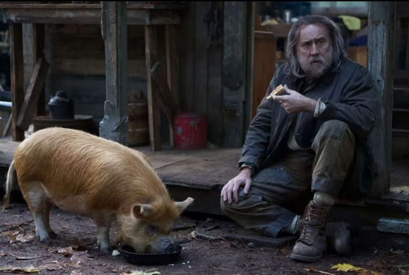 Obrazek w treści Pig &ndash; Nicolas Cage na ratunek porwanej świni  [jpg]