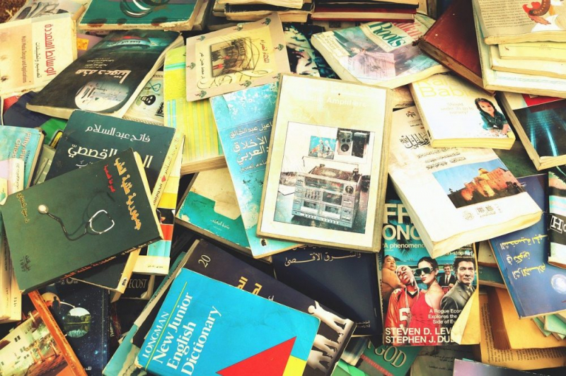 Obrazek w treści Wysypisko porzuconych książek - służby uprzątnęły teren [jpg]