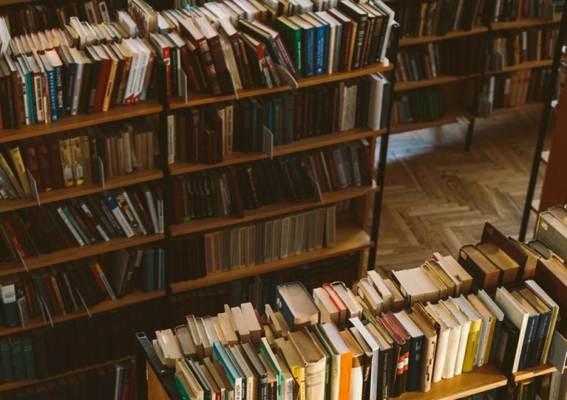 Obrazek w treści Biblioteki staną się śmierciopozytywne? [jpg]