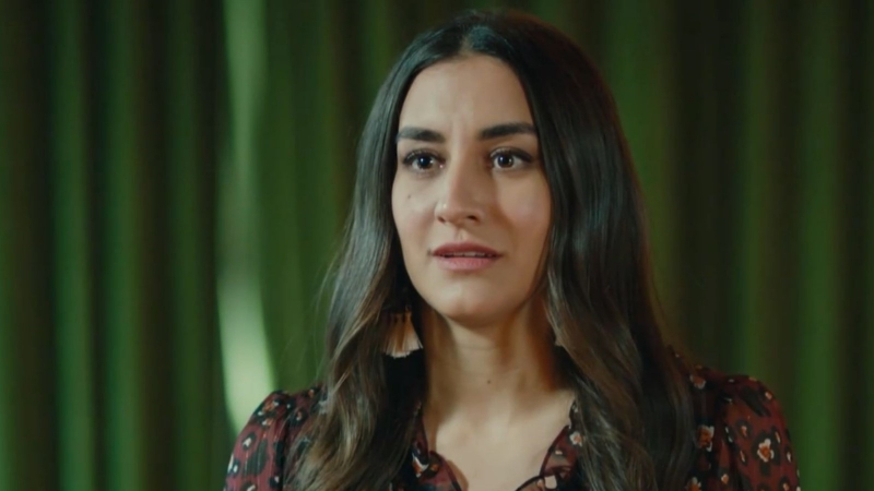 Obrazek w treści Miłość i przeznaczenie: Mehdi wstawia się za Zejnep! Co jeszcze wydarzy się w 25 odcinku? [jpg]