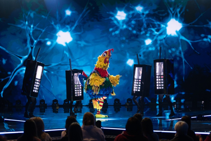 Obrazek w treści Czy będzie 2 sezon programu rozrywkowego Mask singer? [jpg]