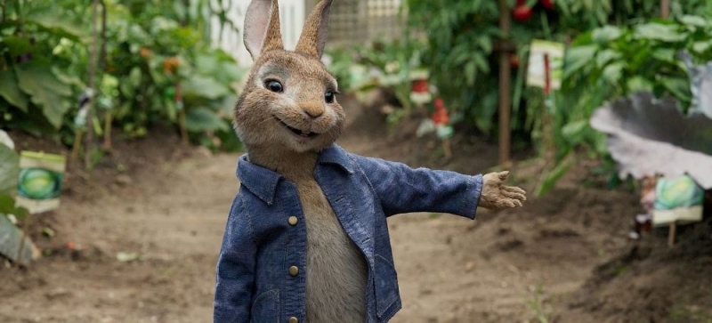 Obrazek w treści Piotruś królik - zbuntowany królik kontra pewien wiejski rolnik  [jpg]