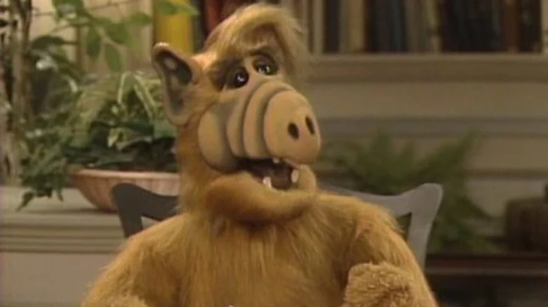 Obrazek w treści "Alf", popularny serial lat 80-tych i 90-tych już dziś można oglądać na HBO Max  [jpg]