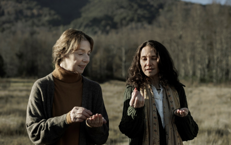 Obrazek w treści 42 dni w mroku - dziś premiera chilijskiego mini-serialu opartego na faktach  [jpg]