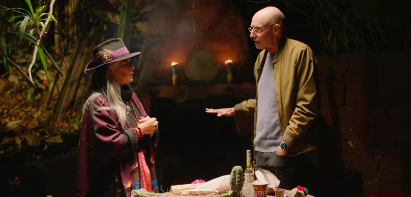 Obrazek w treści Jak zmienić swój umysł - miniserial dokumentalny Netfliksa o silnych substancjach i ich wpływie na ludzki umysł  [jpg]