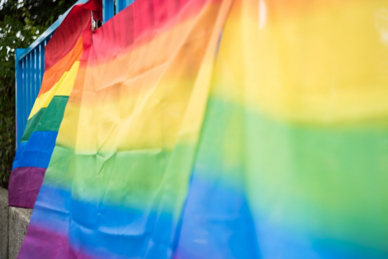 Obrazek w treści Węgry: Książki o LGBT mogą być sprzedawane tylko w szczelnych opakowaniach  [jpg]