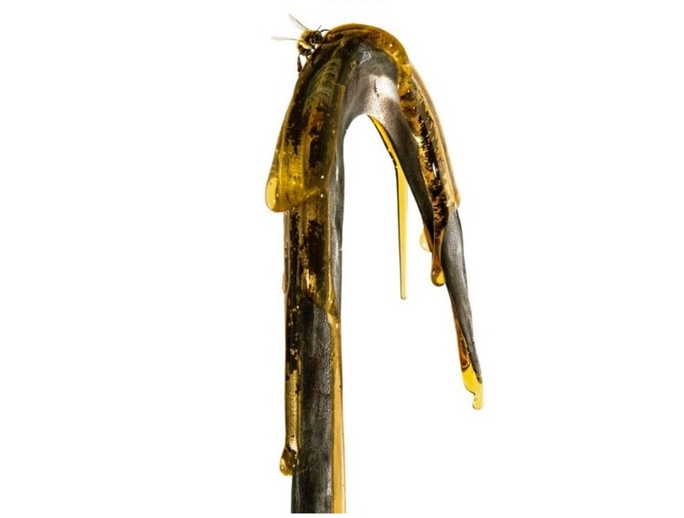 Obrazek w treści Candyman &ndash; nowa wersja horroru o przerażającym mordercy zmierza do kin [jpg]