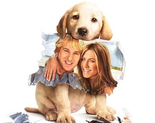 Obrazek w treści Marley i ja - opieka nad niesfornym szczeniakiem łatwa nie jest [jpg]