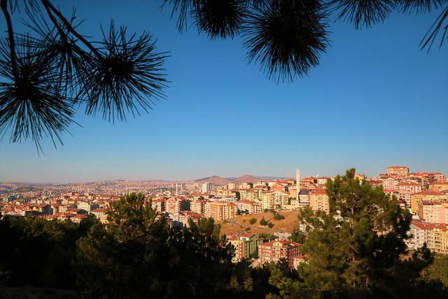 Obrazek w treści Zranione ptaki – Co zdarzy się w 122 i 123 odcinku wieczornego, tureckiego serialu na kanale TVP 2? [jpg]