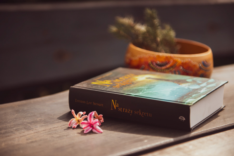 Obrazek w treści Przygoda pełna magii i humoru. „Na straży sekretu Trentona Lee Stewarta [jpg]