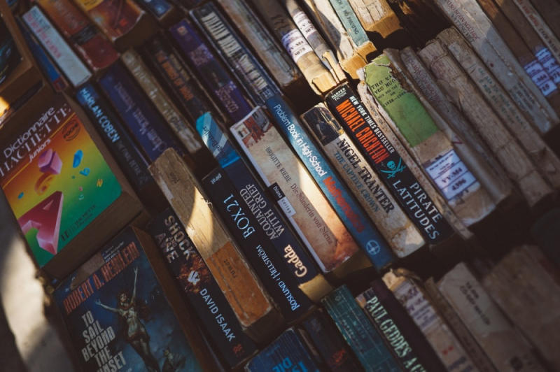 Obrazek w treści James Paterson wyróżnia „inny rodzaj rasizmu” dotyczący białych pisarzy [jpg]