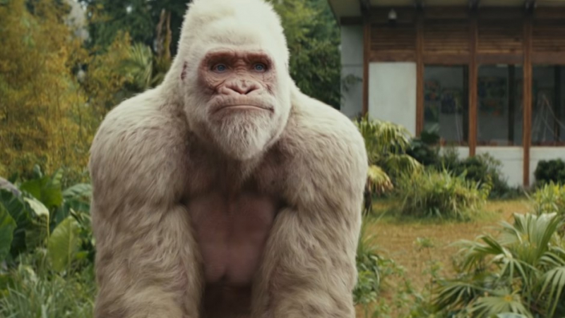 Obrazek w treści Niezwykła przyjaźń zoologa oraz potężnego goryla George &ndash; Dzika furia: Rampage [jpg]