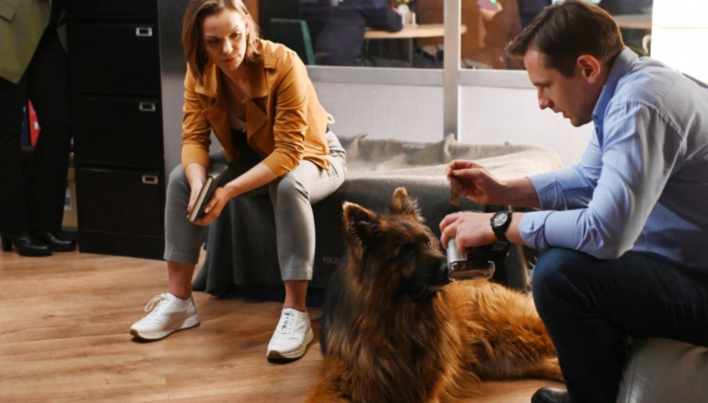 Bohaterowie serialu "Komisarz Alex" od TVP 1. 