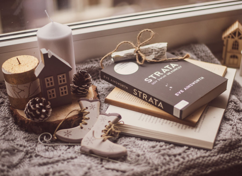 Obrazek w treści Gada do ptaków! Co za dziwoląg! Fragment książki „Strata [jpg]