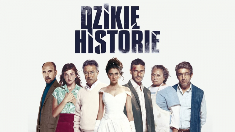 Obrazek w treści Dzikie historie &ndash; każdemu kiedyś puszczają nerwy [jpg]