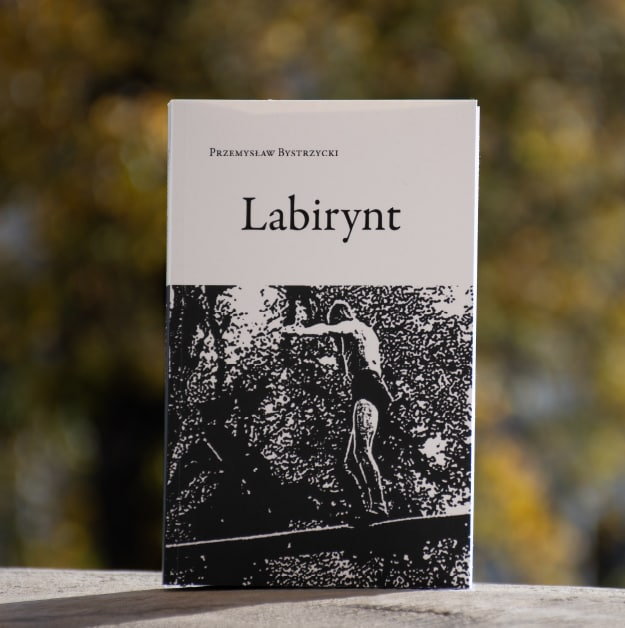 Labirynt. Elegia żałobna. Powieść - zdjęcie książki