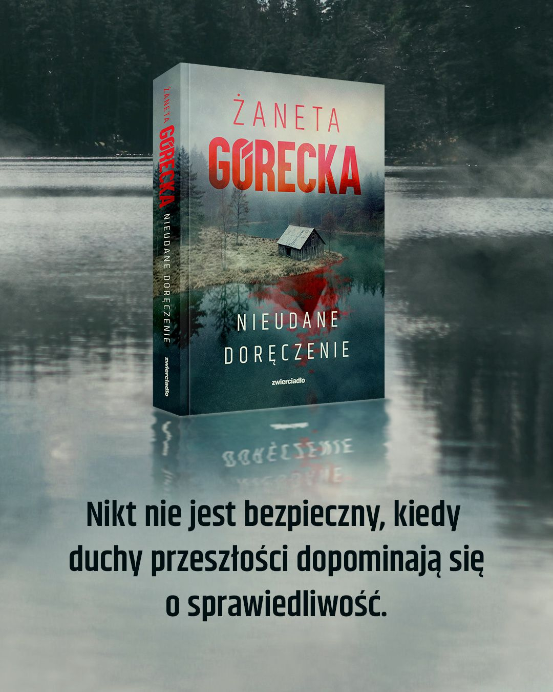 „Nieudane dor�czenie" �anety G�reckiej grafika promuj�ca ksi��k�