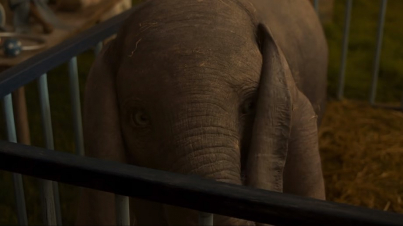 Obrazek w treści Dumbo - czym jest jedna z animacji Tima Burtona? [jpg]