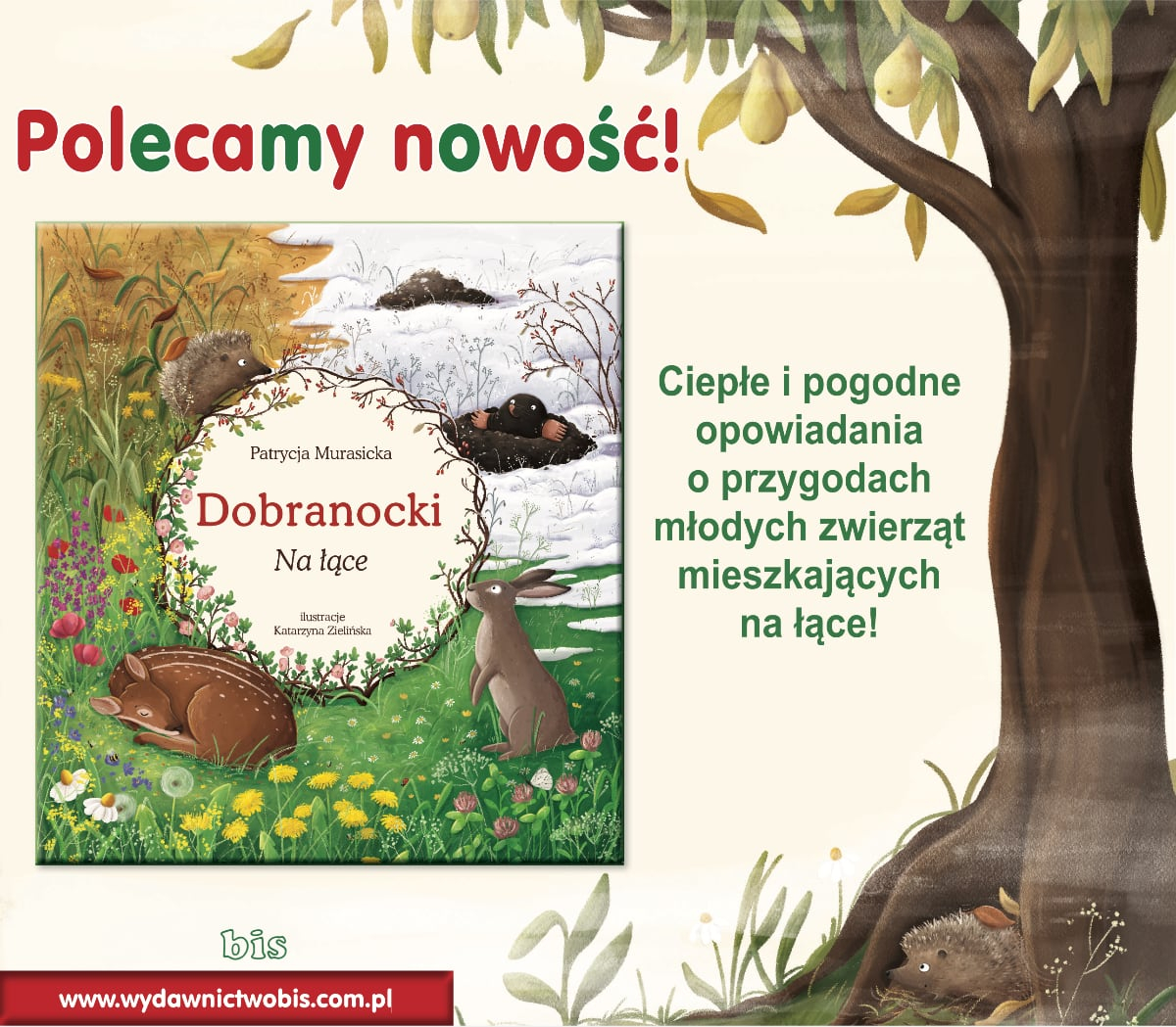 Dobranocki. Na łące Patrycji Murasickiej grafika promująca książkę