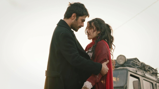 Bohaterowie serialu Wichrowe wzgórze emitowanego na antenie TVP1