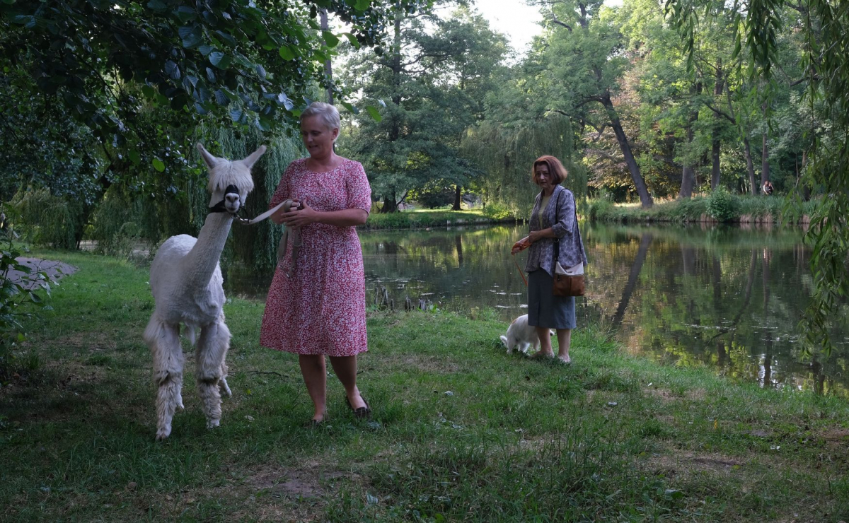 Bohaterki serialu "Ojciec Mateusz"