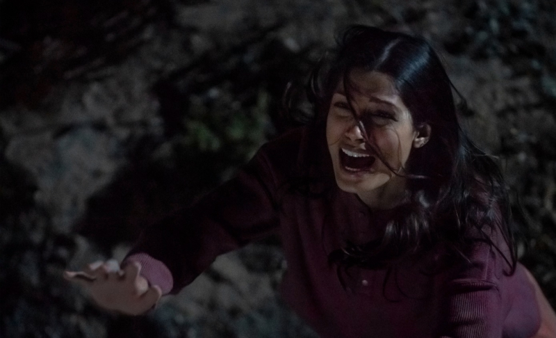 Obrazek w treści Wtargnięcie - trzymający w napięciu i zaskakujący thriller, dziś debiutuje na Netflix  [jpg]