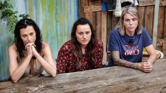 Kadr z programu Farma, kt&oacute;ry jest emitowany na antenie telewizji Polsat.