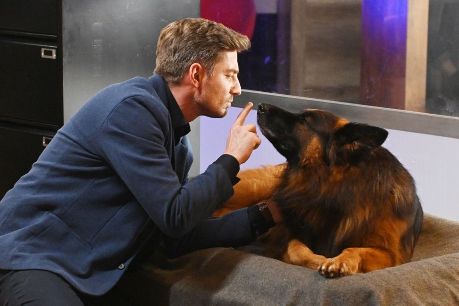 Kadr z serialu kryminalnego "Komisarz Alex: sezon 21" od TVP. 