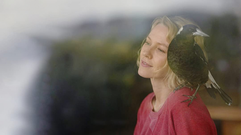 Obrazek w treści Penguin Bloom &ndash; wzruszająca filmowa opowieść oparta na faktach  [jpg]