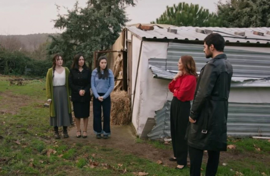 Bohaterowie serialu Wichrowe wzgórze emitowanego na antenie TVP1