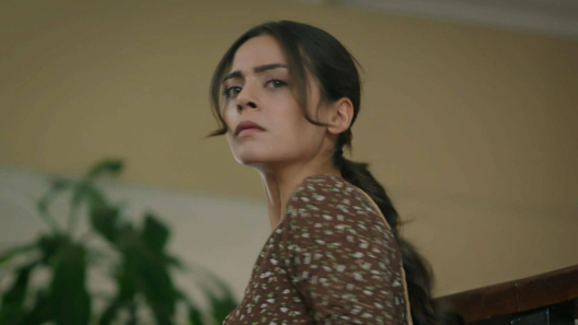 Seher, bohaterka serialu Dziedzictwo, który jest emitowany na antenie TVP 1