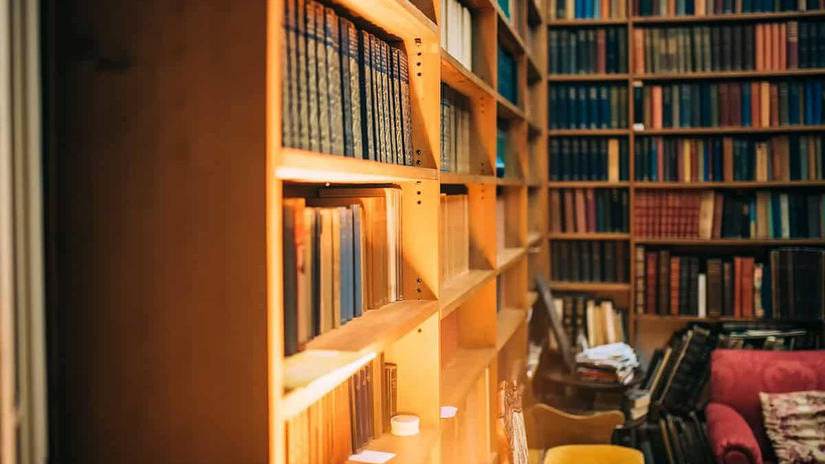 Obrazek w treci Biblioteka w domu jednorodzinnym: projekt, aranacja i wyposaenie [jpg]